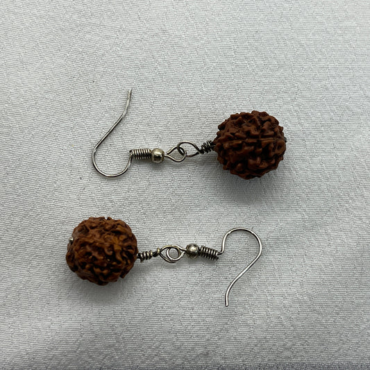 Sølv øreringe med brun frøstand