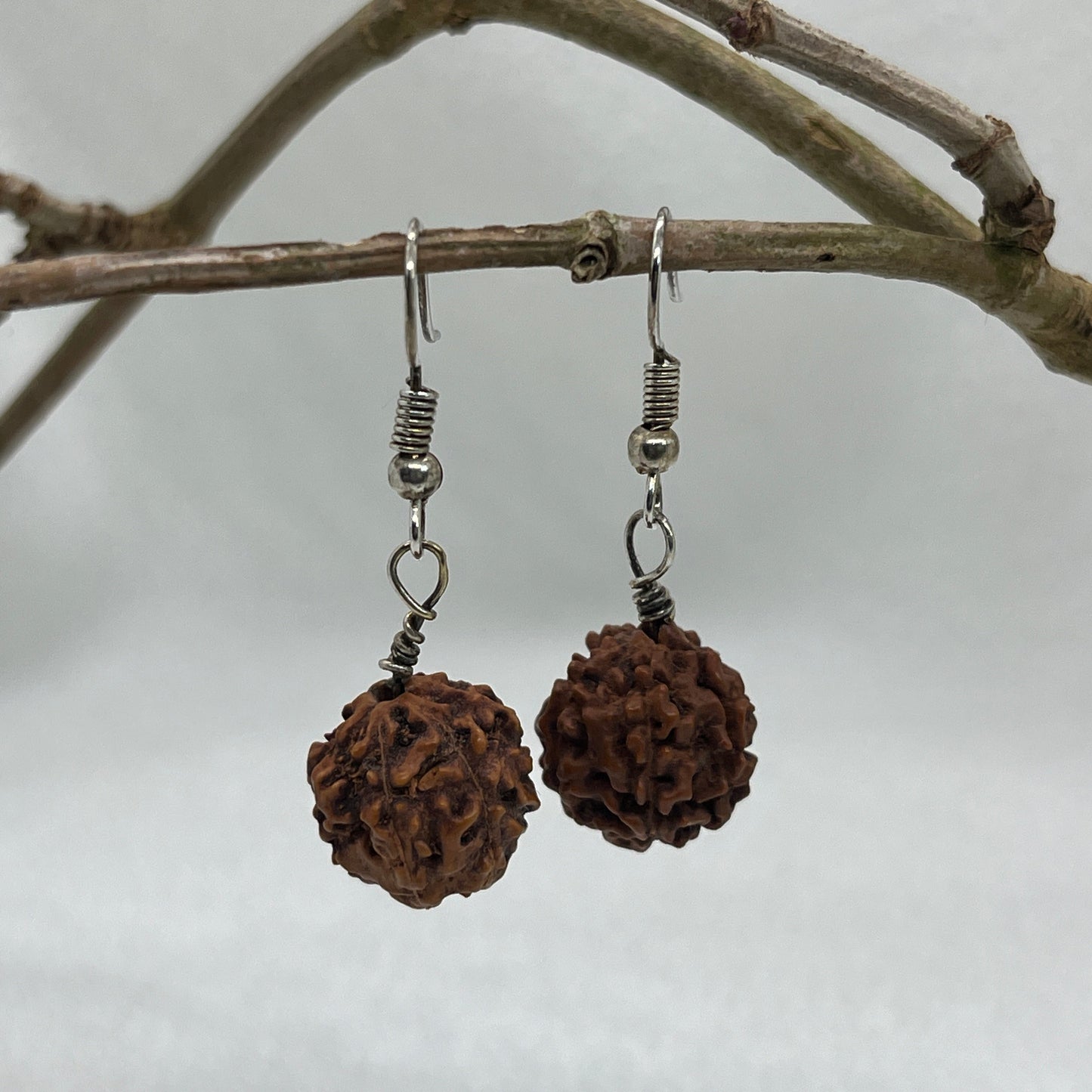 Sølv øreringe med brun frøstand